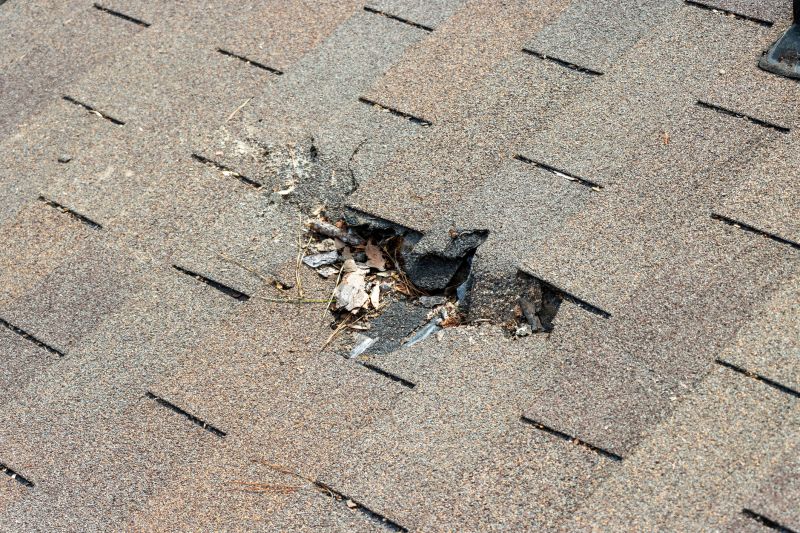Shingle Roof Replacement in Fredericksburg, VA